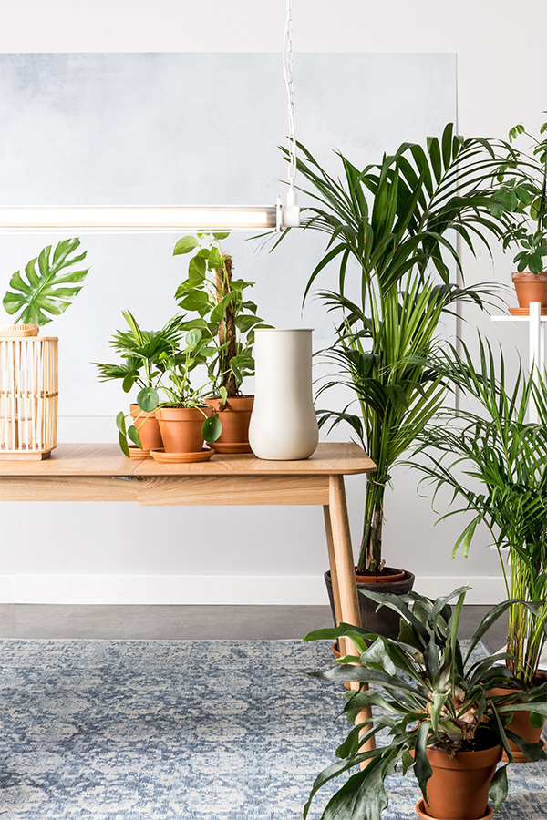 Лампа подвесная Prime XL, белая Zuiver 5300126 - Вид №1