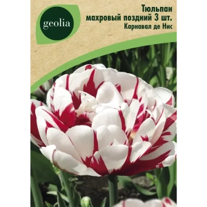 Тюльпан махровый поздний Карнавал де Нис 3 шт. 88663267 STLM-2135040