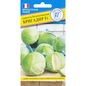 Семена Капуста белокочанная «Бригадир» F1