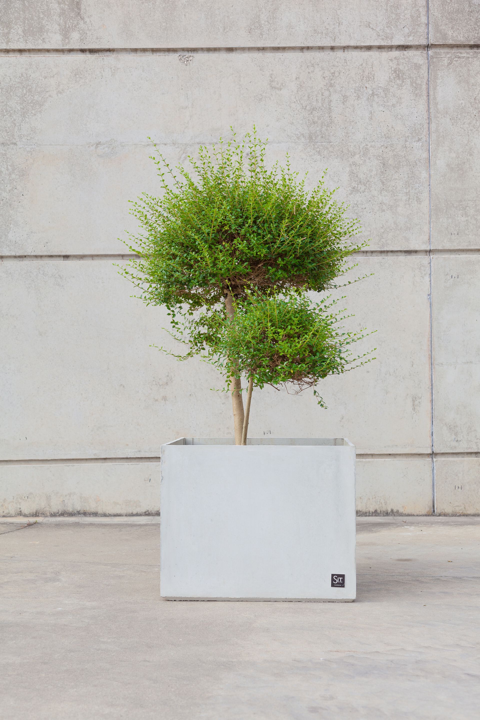 Квадратный плантатор из армированного волокном бетона SIT Cubic ARCH-00079442 - Вид №18