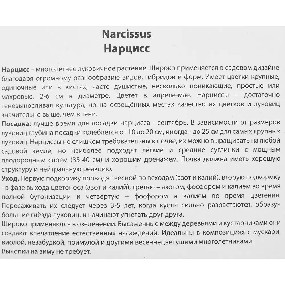 Нарцисс махровый Рип Ван Винкль от ПОИСК - 5 луковиц 85205511 STLM-1584952 - Вид №2