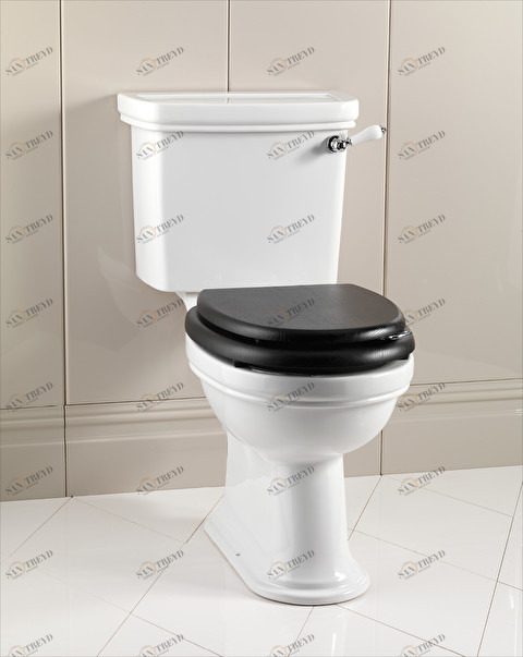 WCCMROS Компакт унитаз с бачком Белый Devon&Devon  Италия 