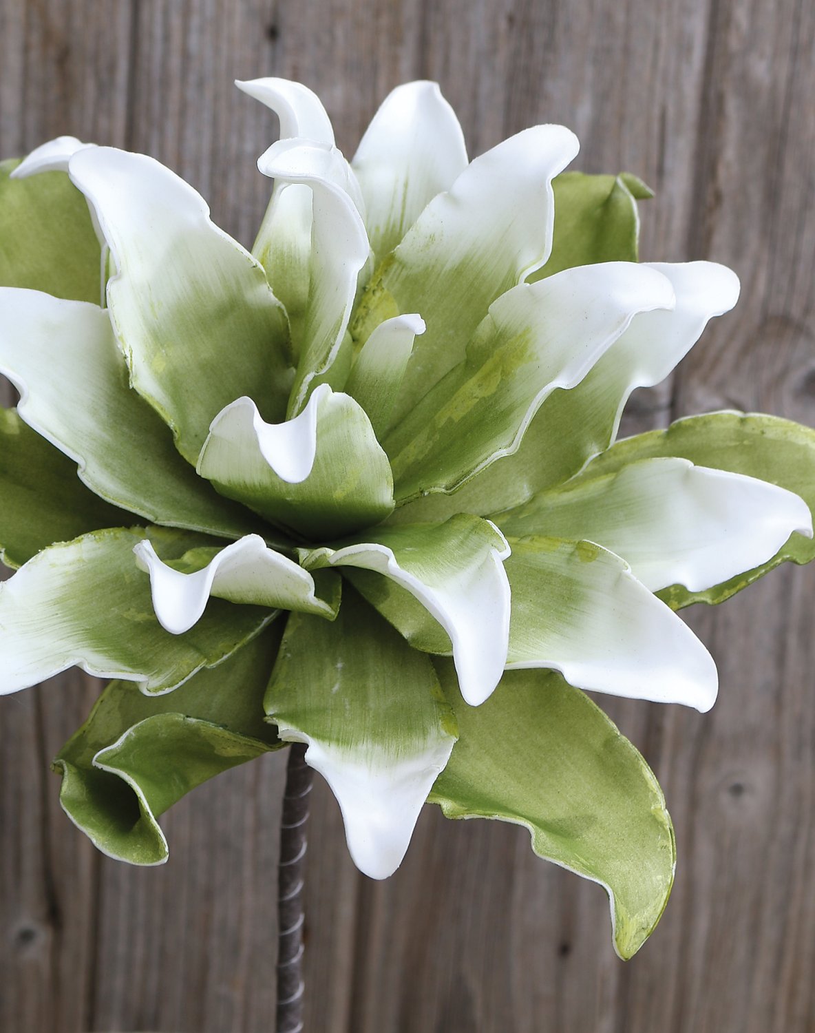 7898 807 a3 Искусственный протея мягкий цветок, 38 см, зелено-белый H-andreas 