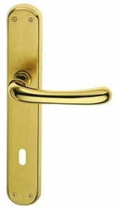 Pasini Ручка из латуни на пластине с накладкой Gamma 3100