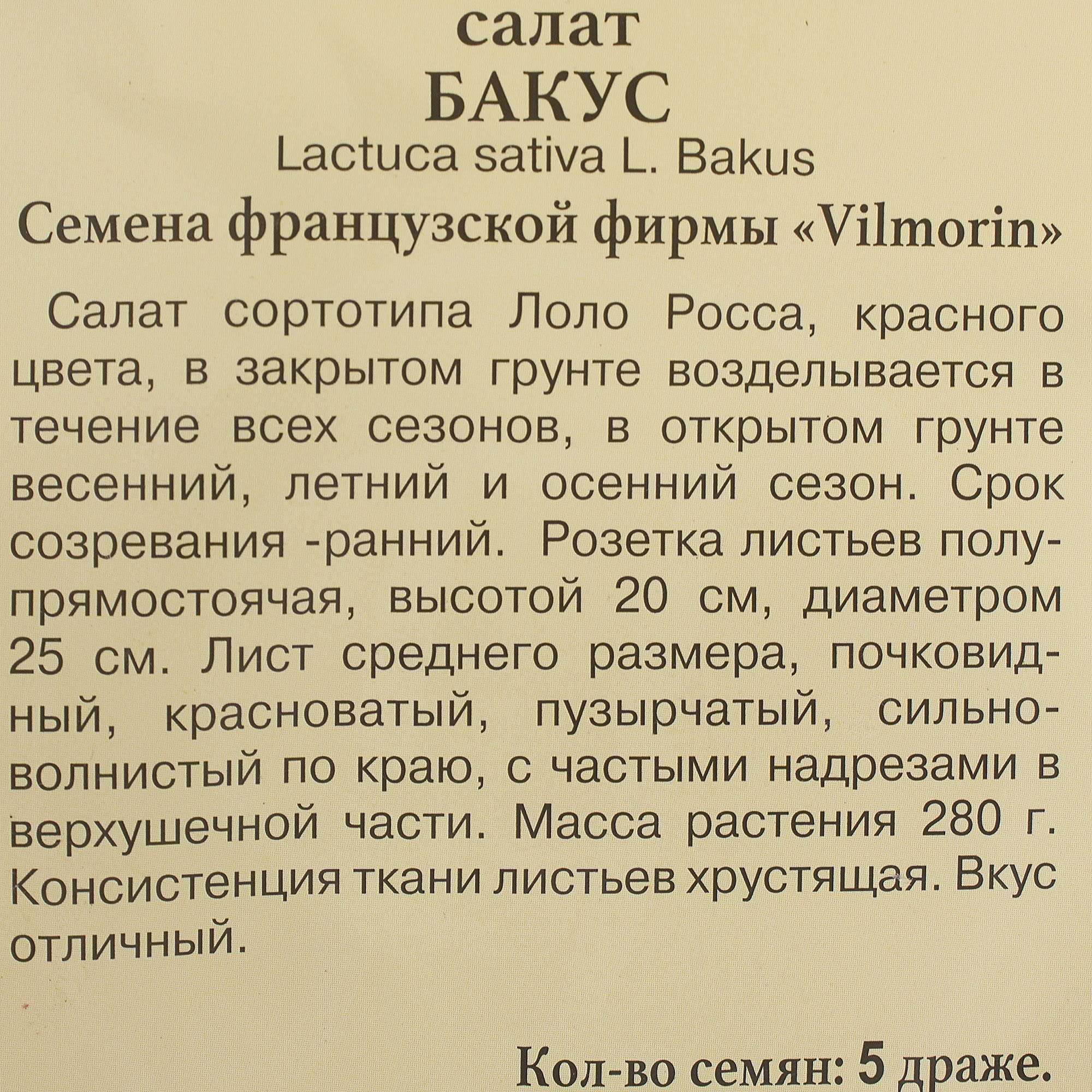 81931648 Семена Салат «Бакус» Santreyd  - Вид №2