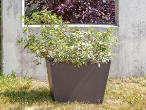 Железная плантатор