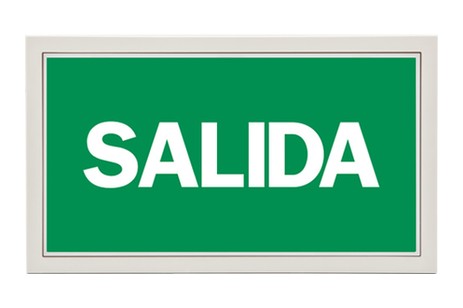 DST-585 Lisu flush-mounted Daisalux Светильники аварийные Белый 