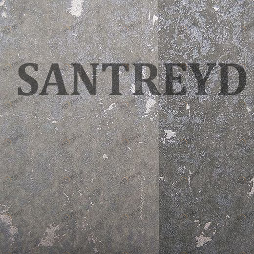 227368 Обои Rasch Tintura