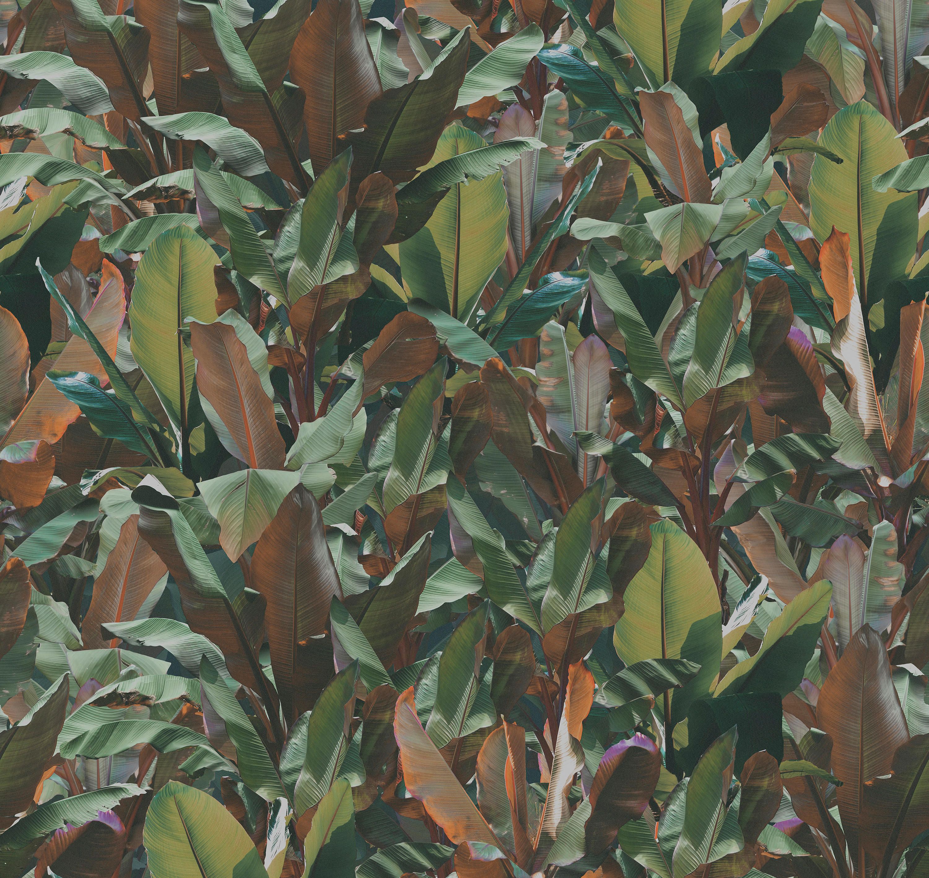 Виниловые обои Devon&Devon ARCH-00139698 - Вид №2