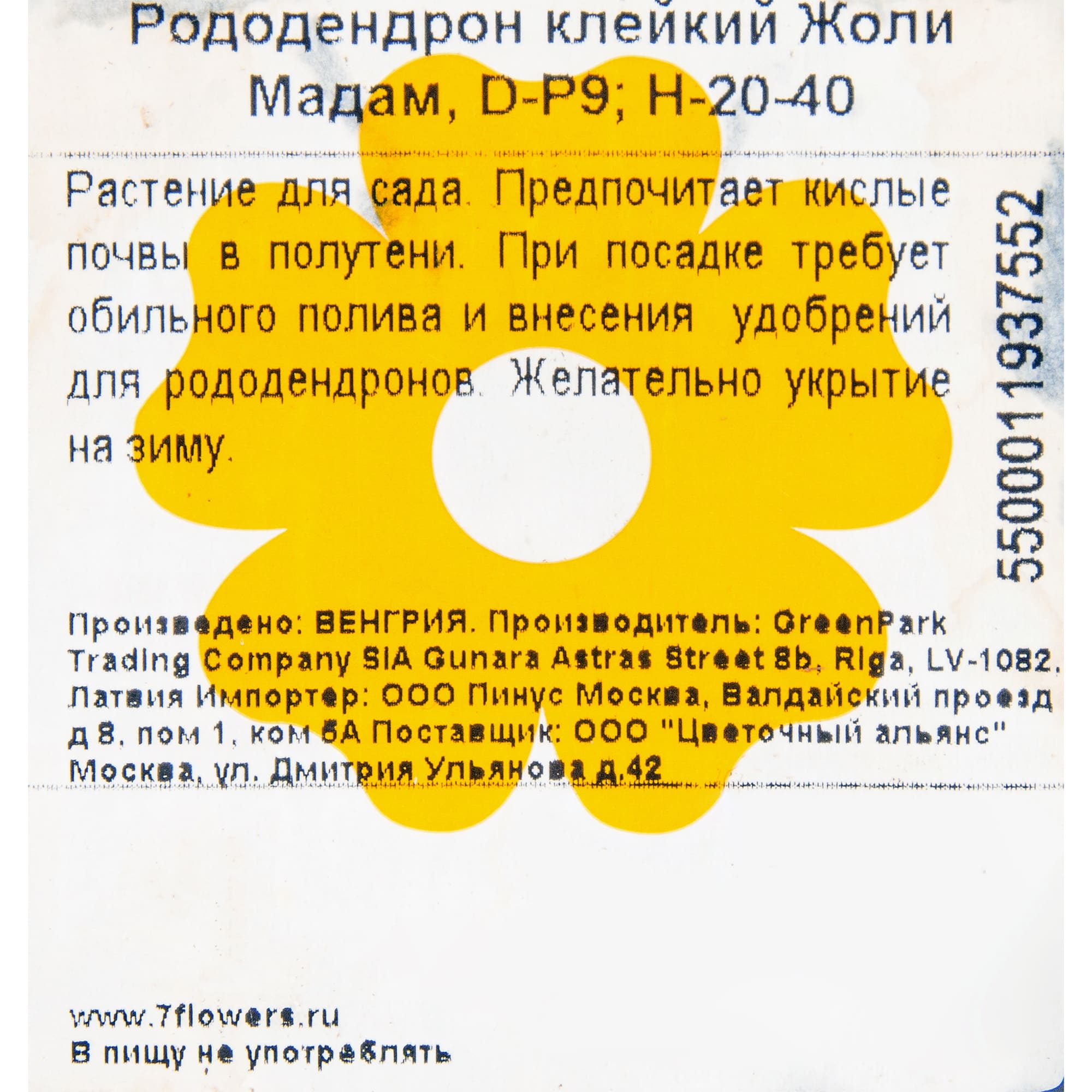 81959177 Рододендрон клейкий «Мадам Жоли» Santreyd  - Вид №1