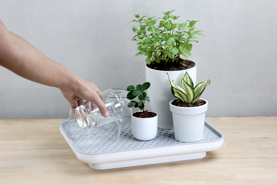 Лоток для полива растений Oasis Tray белый Qualy QL10309WHGN - Вид №4