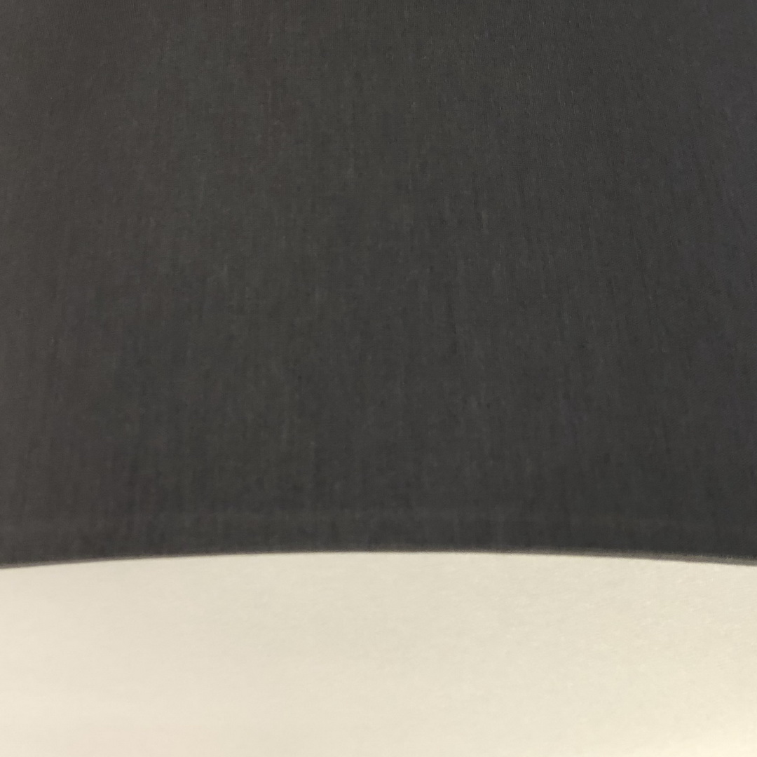 Orion DL 7-640/60 LED потолочный светильник +серый абажур 7-640/60 119410 - Вид №1