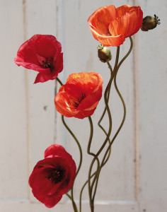 4562 334 a3 Пластиковые маки, 2 цветка, 1 бутон, 75 см, оранжевые H-andreas
