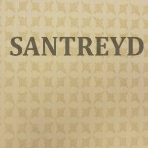 79349 Обои Rasch Selected