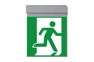 DST-1716 Ikus 2222-t Daisalux Светильники сигнальные Серебристо-Серый