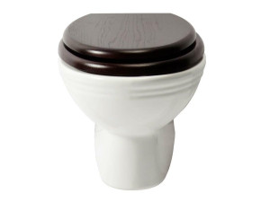 Фарфоровый подвесной туалет