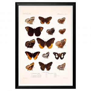 782752384_1818 Арт-постер «Тропический рай», версия 41 Object Desire