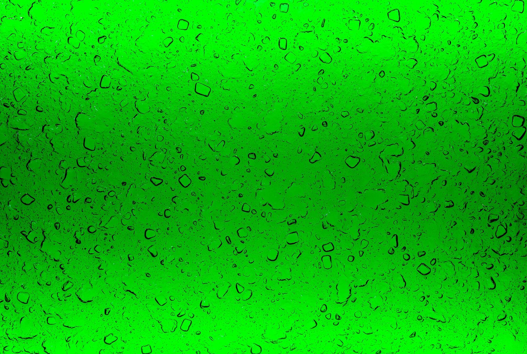 Светящаяся декоративная стеклянная панель PlusObject FLORA ARCH-00073009 - Вид №5