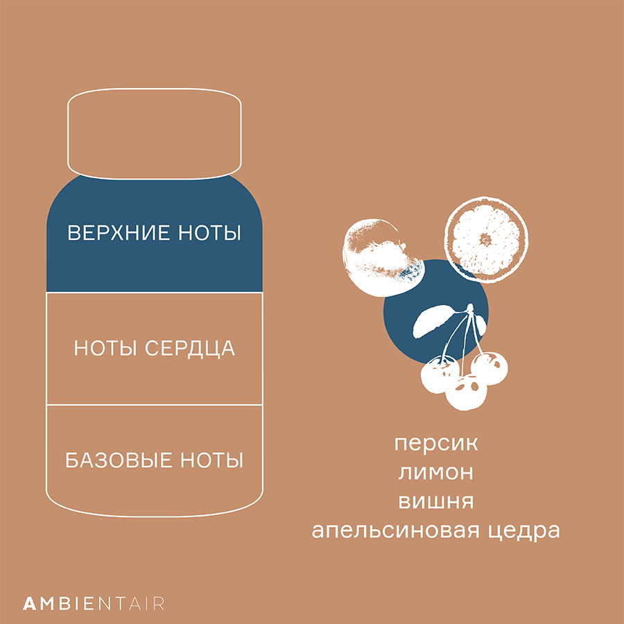 MK100GTTO Диффузор ароматический gifting, Печенье и ягоды, 100 мл Ambientair  - Вид №4