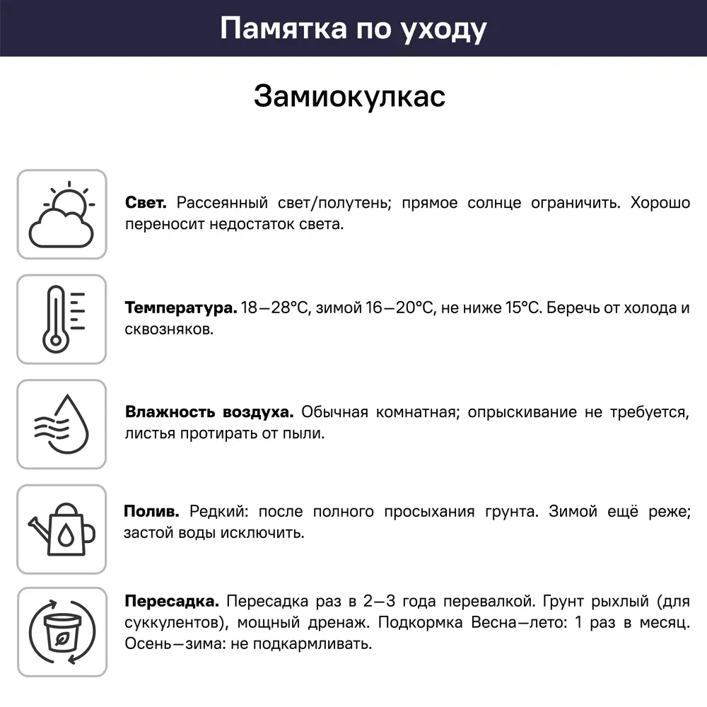 Замиокулькас ø19 h60 см 89399313 STLM-2097274 Santreyd  - Вид №4
