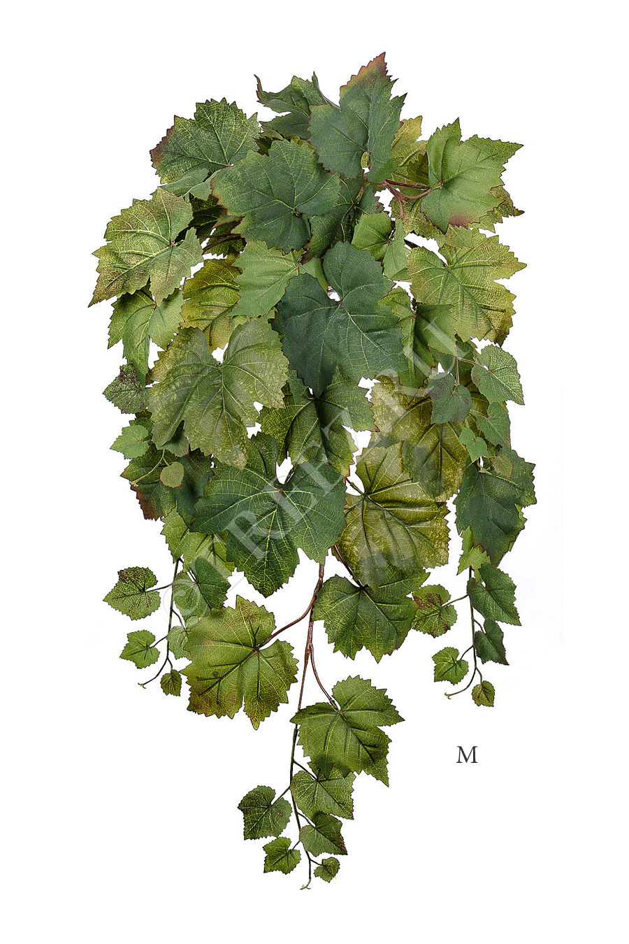 20.1290M Виноградный куст ампельный натуральный Цветочная коллекция 