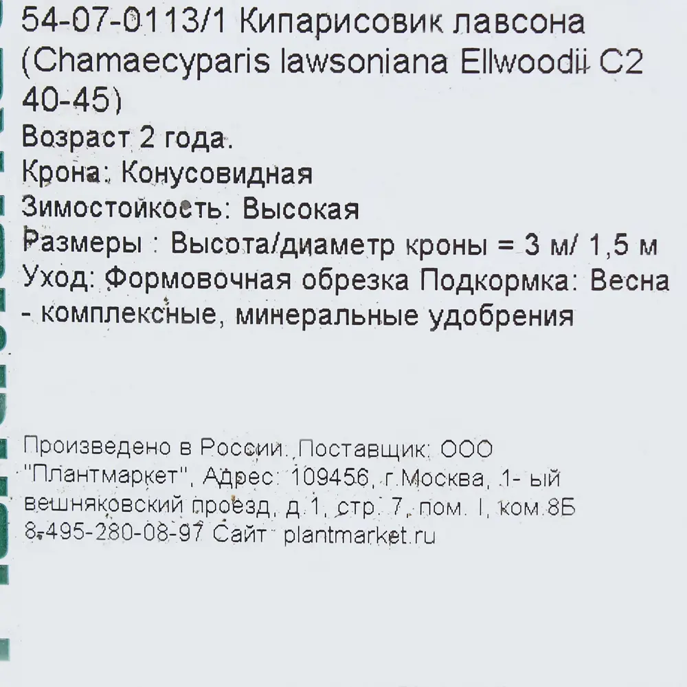 Кипарисовик Лавсона «Элвуди» С2, 40-50 см 81969331 STLM-2001507 PLANTMARKET  - Вид №2