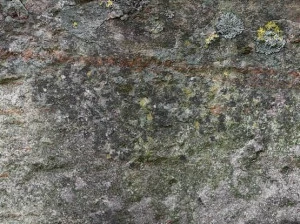 Architects Paper Обои с цифровой печатью под камень Ap digital iv