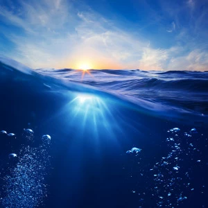 B1-072 Фотообои DIVINO Collection B 2.7х3 м