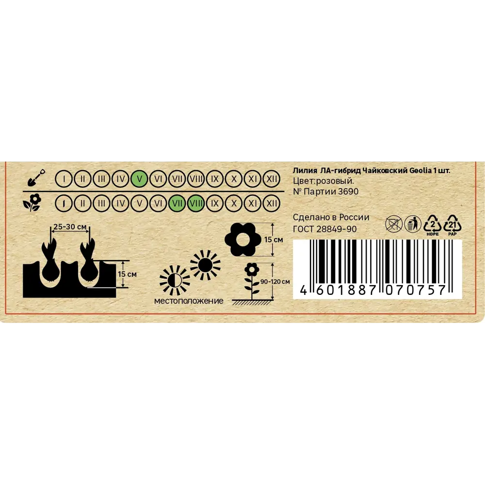 Лилия Geolia ла-гибрид Чайковский 86408638 STLM-2011128  - Вид №4
