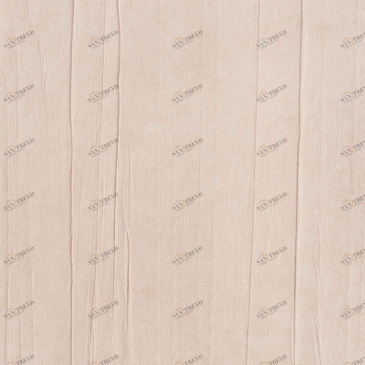 0202-PIT Обои ProSpero Space 0202PIT