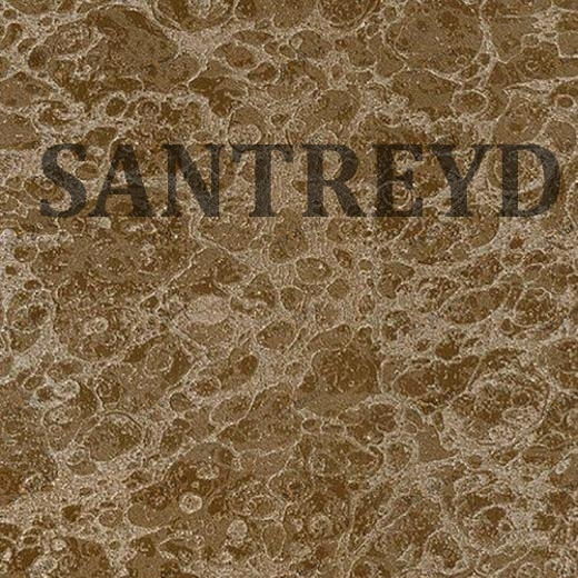 5566 Обои Zambaiti Parati Trussardi 2