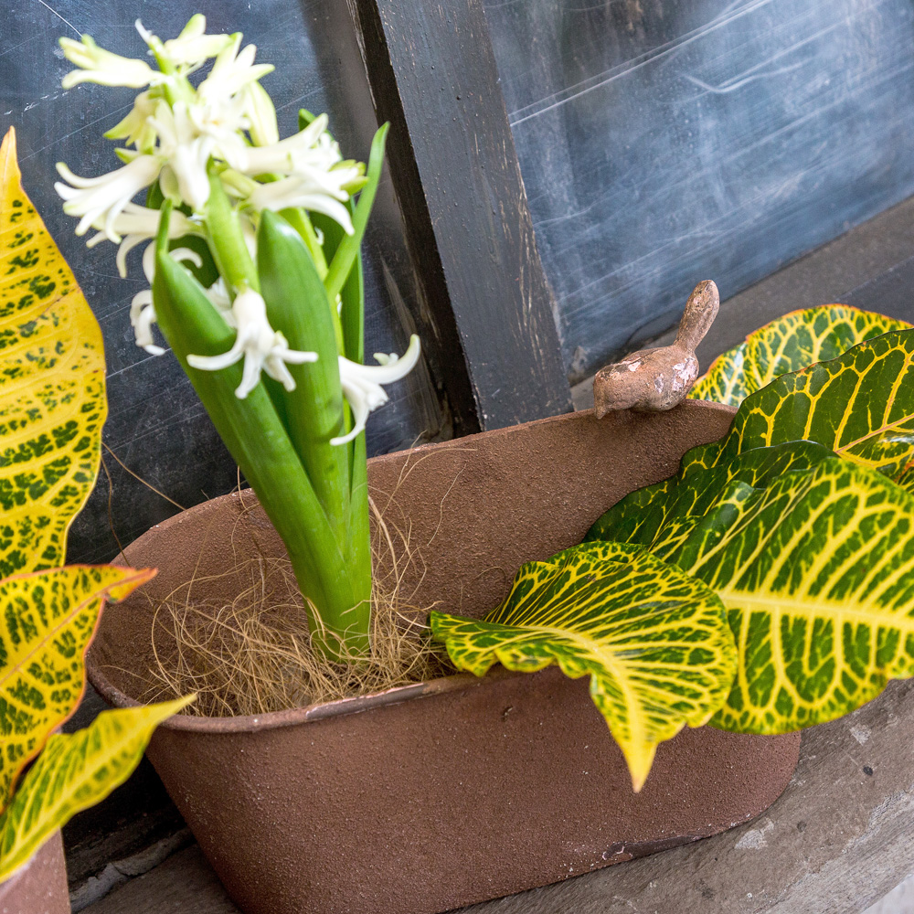 3112121 Металлическое кашпо «Сиена», версия М Object Desire  - Вид №3