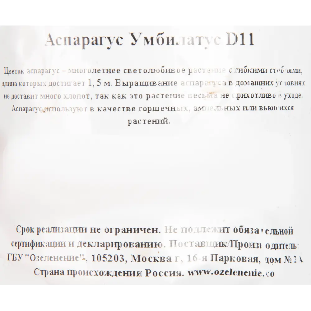 Santreyd Аспарагус ампельный для интерьера 82560379 STLM-0029923 - Вид №2