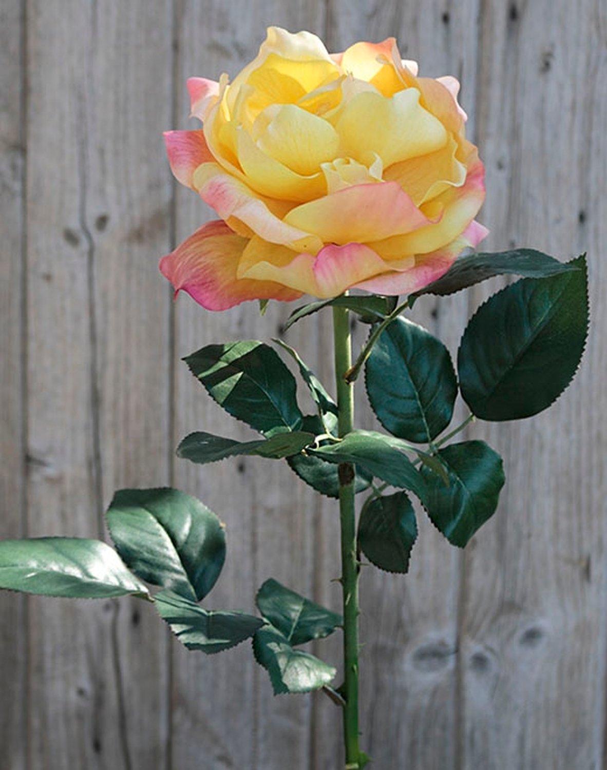 2312 304 a2 Шелковая роза колумбия, 80 см, real touch, желто-красная H-andreas  - Вид №1