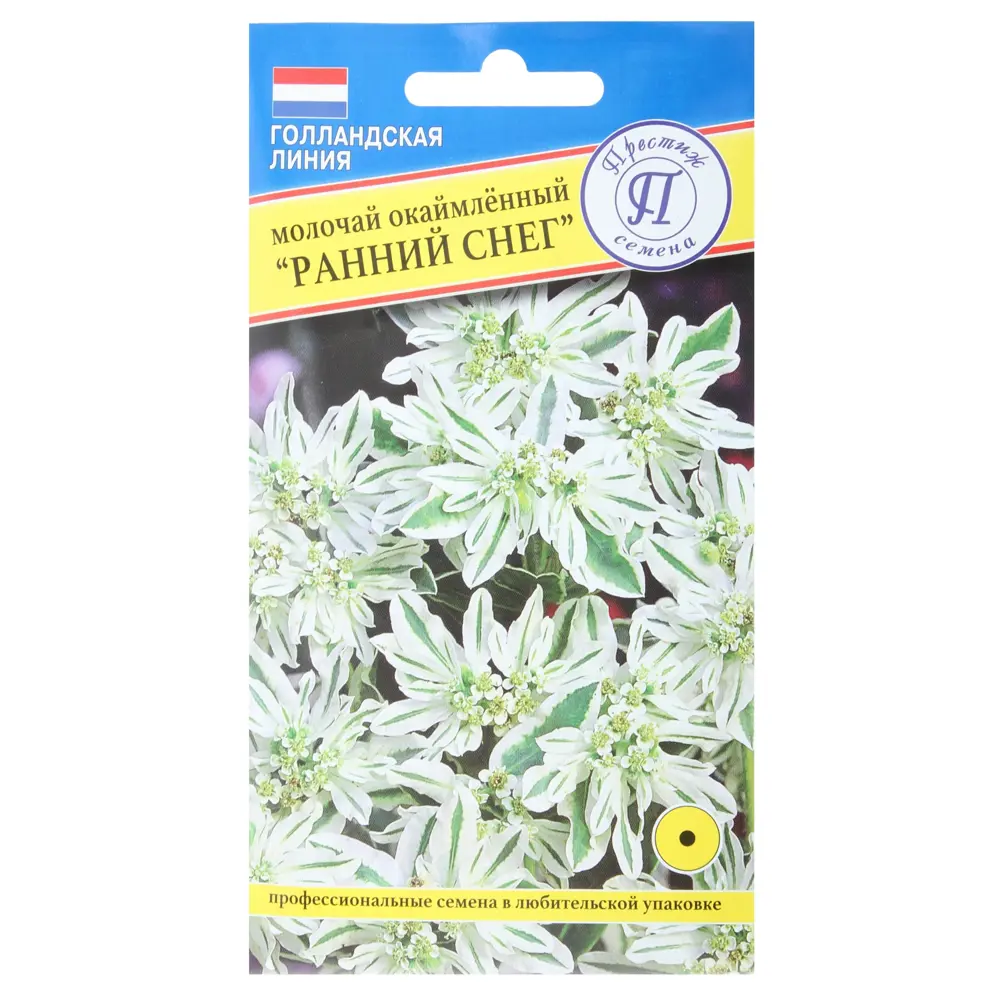 Молочай окаймленный «Ранний снег» ПРЕСТИЖ СЕМЕНА STLM-2124492