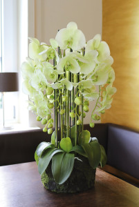 2861 788 a3 Пластиковая орхидея Phalaenopsis с 'почвой', 9-кратная, 70 см, real touch, бежево-зеленая H-andreas