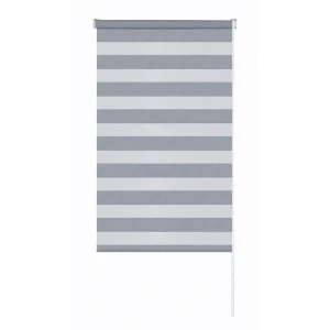 Рулонная штора день-ночь MIAMOZA Сиберия 70×160 см серая 89411442