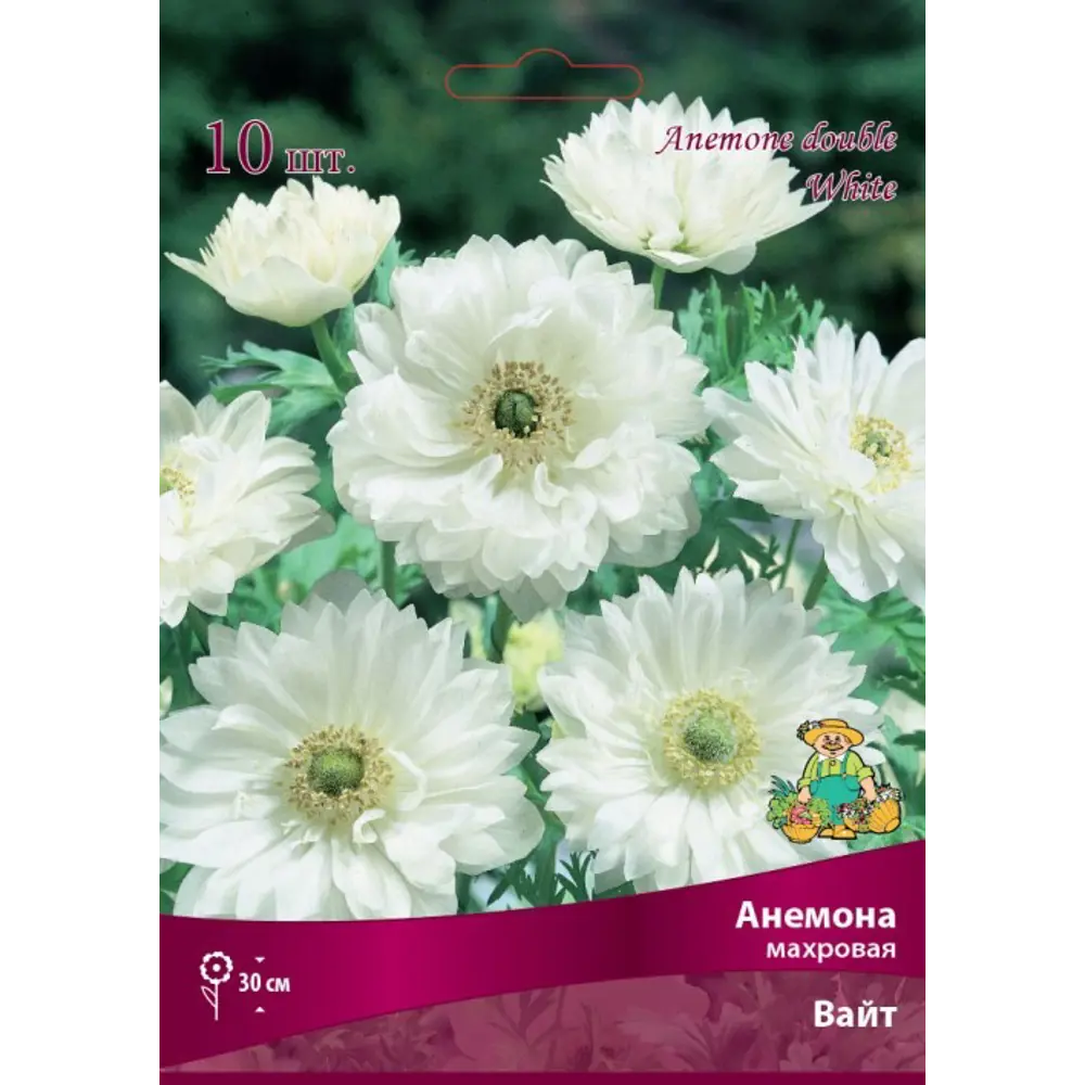 Анемона махровая White от Santreyd - белоснежные цветы для сада 83593861 STLM-0949795
