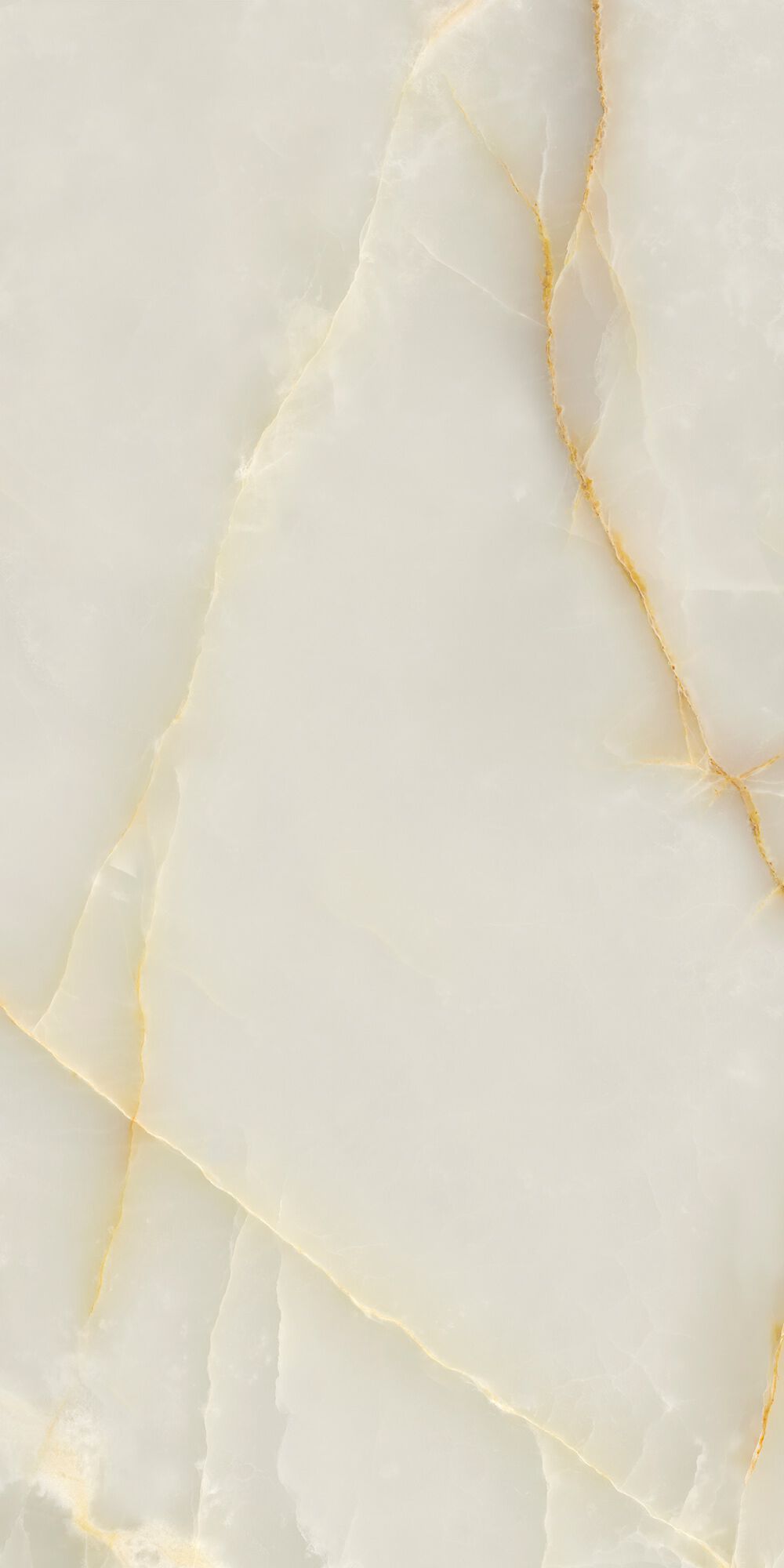 Декоративная панель из алюминия, стекла или ПММА Tecnografica супер драгоценные ARCH-00096541 - Вид №2