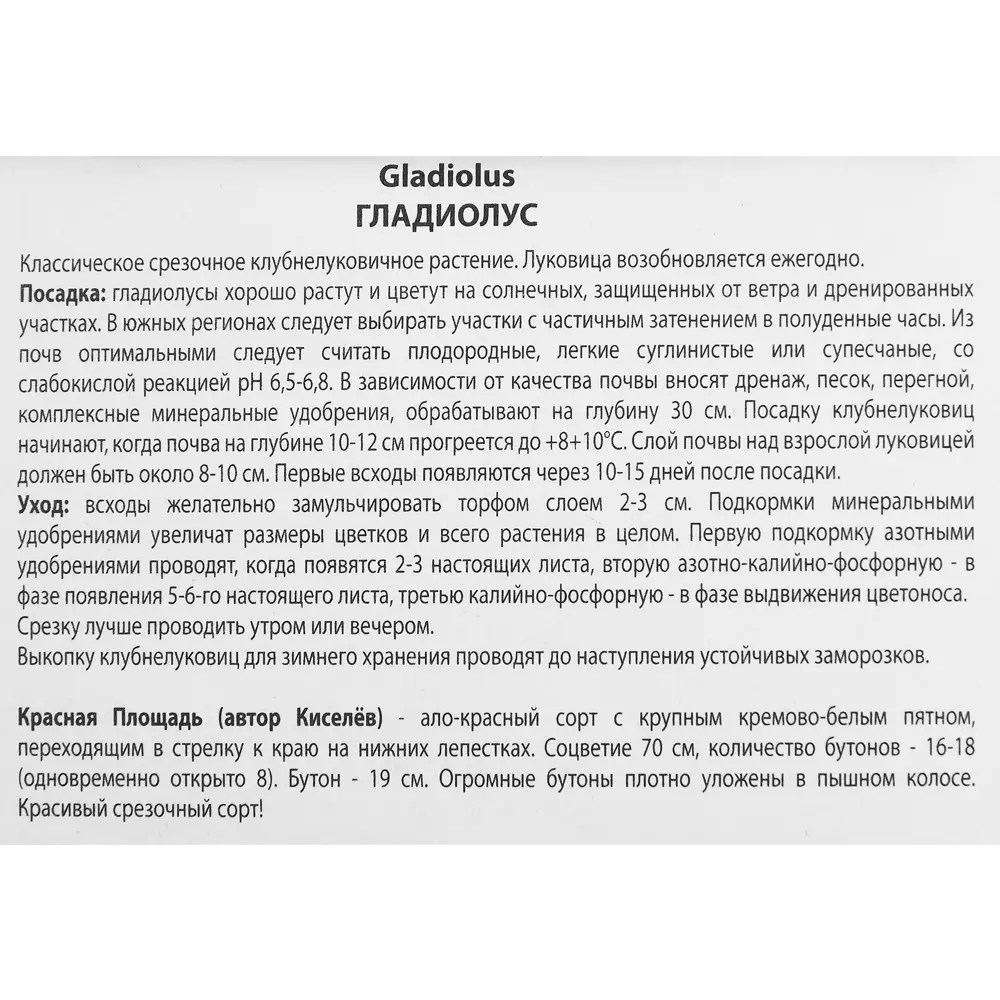 Гладиолус Красная Площадь, 3 шт 86410045 STLM-2010944 ПОИСК  - Вид №2