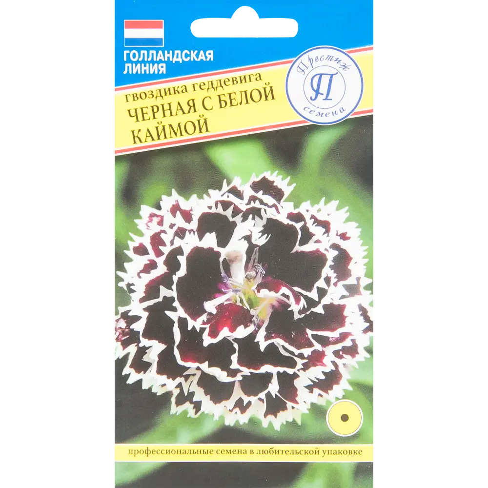 Гвоздика чёрная с белой каймой 82457129 STLM-2026206 ПРЕСТИЖ СЕМЕНА 