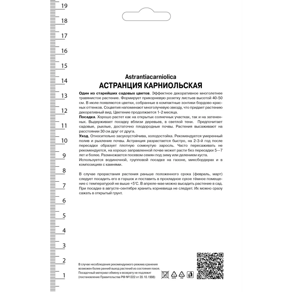 Астранция «Рубра», карниольская 17536055 STLM-2057629 Santreyd  - Вид №1