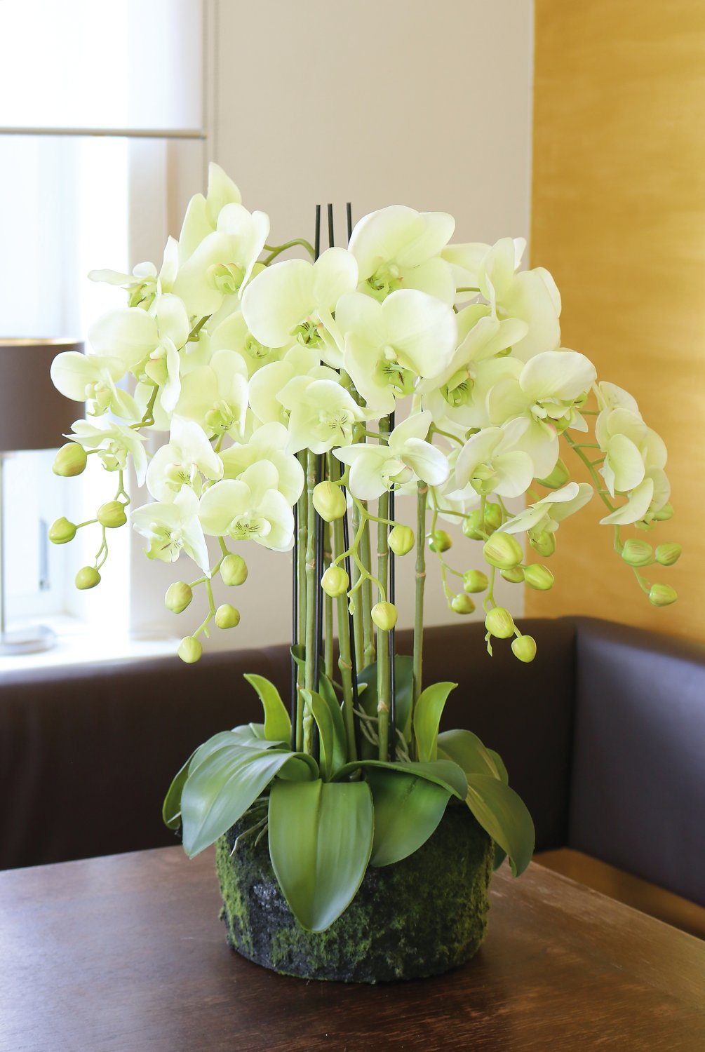 2861 788 a3 Пластиковая орхидея Phalaenopsis с 'почвой', 9-кратная, 70 см, real touch, бежево-зеленая H-andreas  - Вид №5
