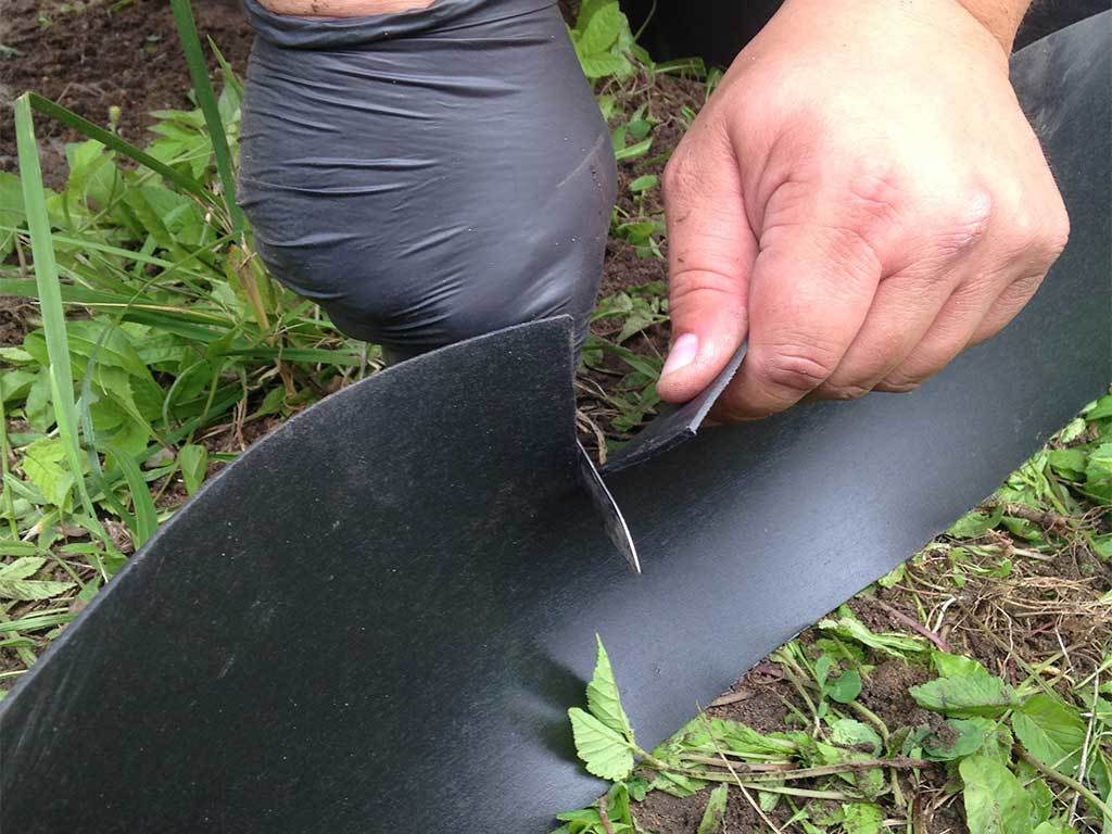 Лента бордюрная 900 мм x 10 м, 2 мм ГеоПластБорд GPBST-36 - Вид №9