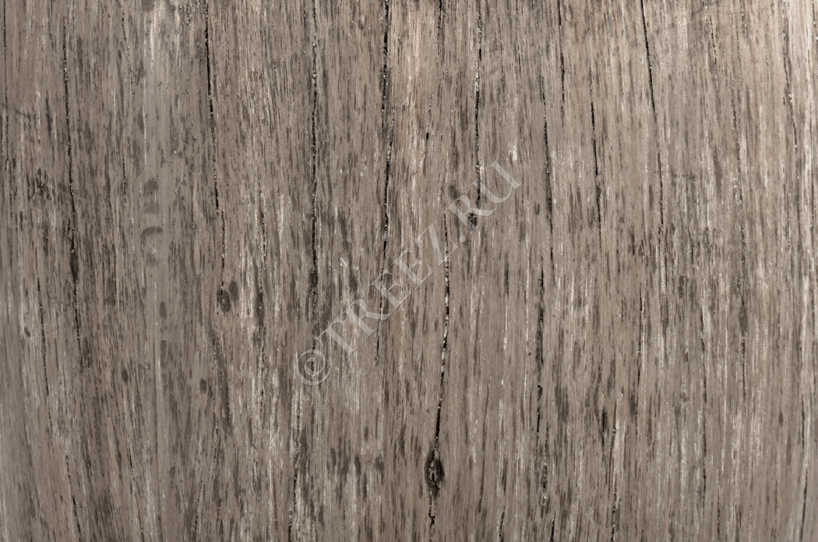 41.3317-03-011-WGR-65 Кашпо  Effectory - серия Wood - Высокий округлый конус - Белёный дуб Цветочная коллекция  - Вид №1