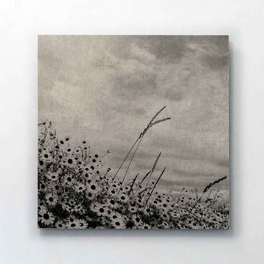 Tante Lotte Акустическая стеновая панель из шерсти Whisperwool oblong W2g19 - Вид №9