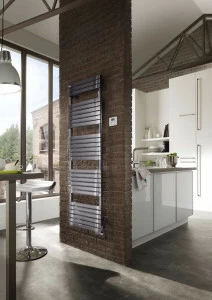 Радиатор Микс ASY-154-050/GF Altaï Spa Acova 1562