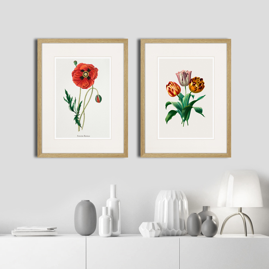 Литография на тонированной бумаге 42х32 см Botany illustration №23, 1836г. КАРТИНЫ В КВАРТИРУ  264496 Белый;коричневый;разноцветный  - Вид №2