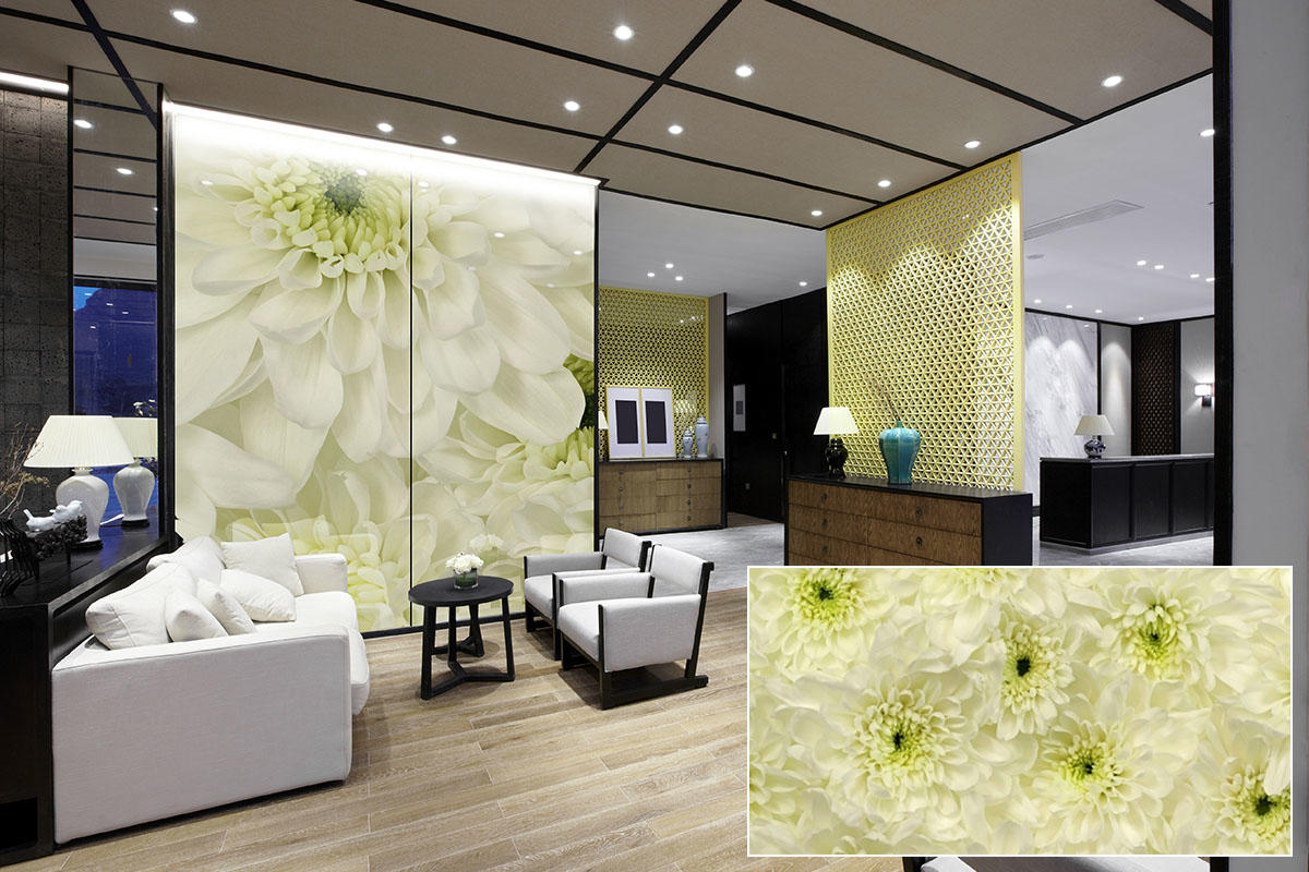 FSRT371 Зум-стекло Vivispectra с прослойкой из темного аметиста Forms-surfaces  - Вид №13