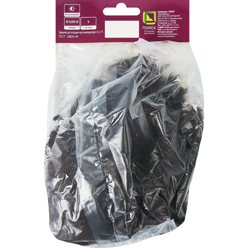 Бадан сердцелистный ПОИСК STLM-2199509 - Вид №1